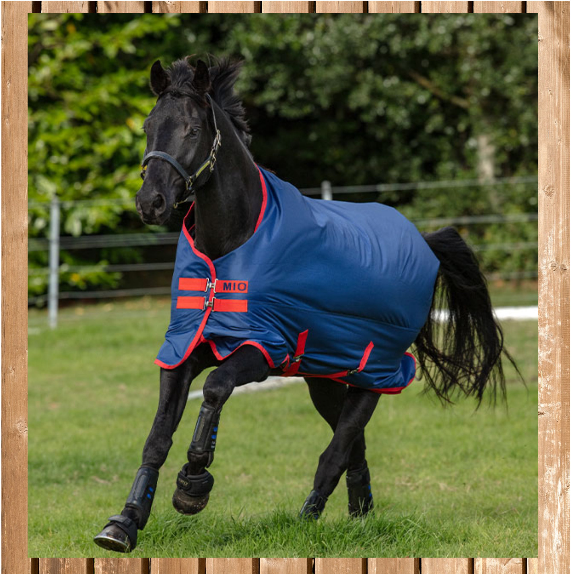 Horseware MIO Turnout Medium 200g, dark blue